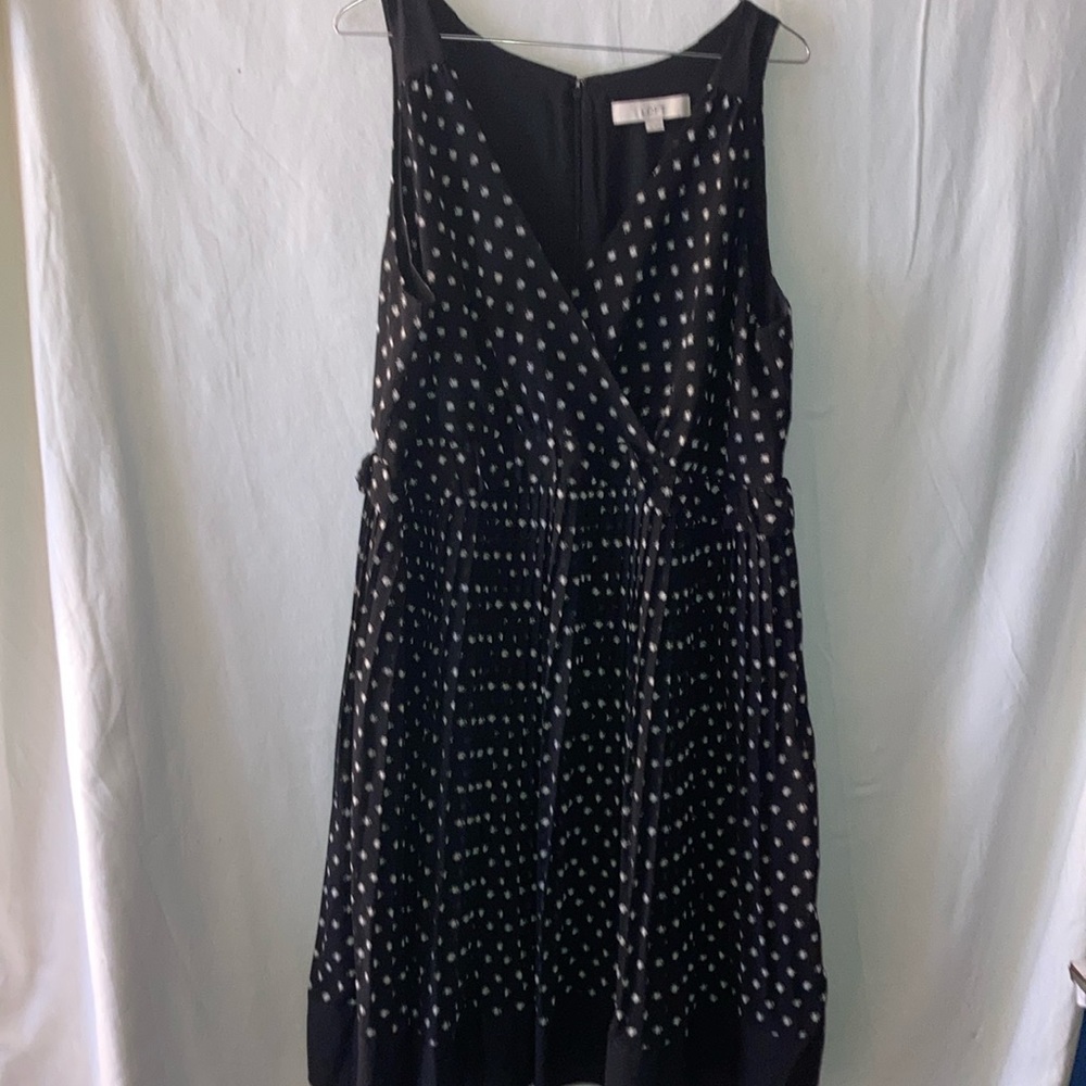 Loft Pleated Dress